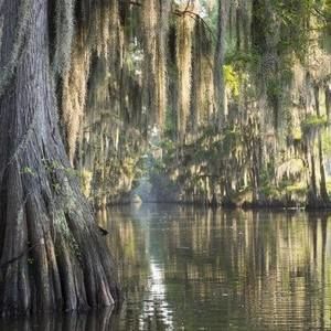 Meet your Posher, Cc